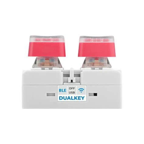 Fig.1 - The ESP-DualKey kit.