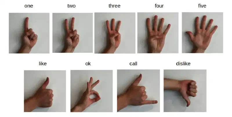 The 9 supported hand gesture classes